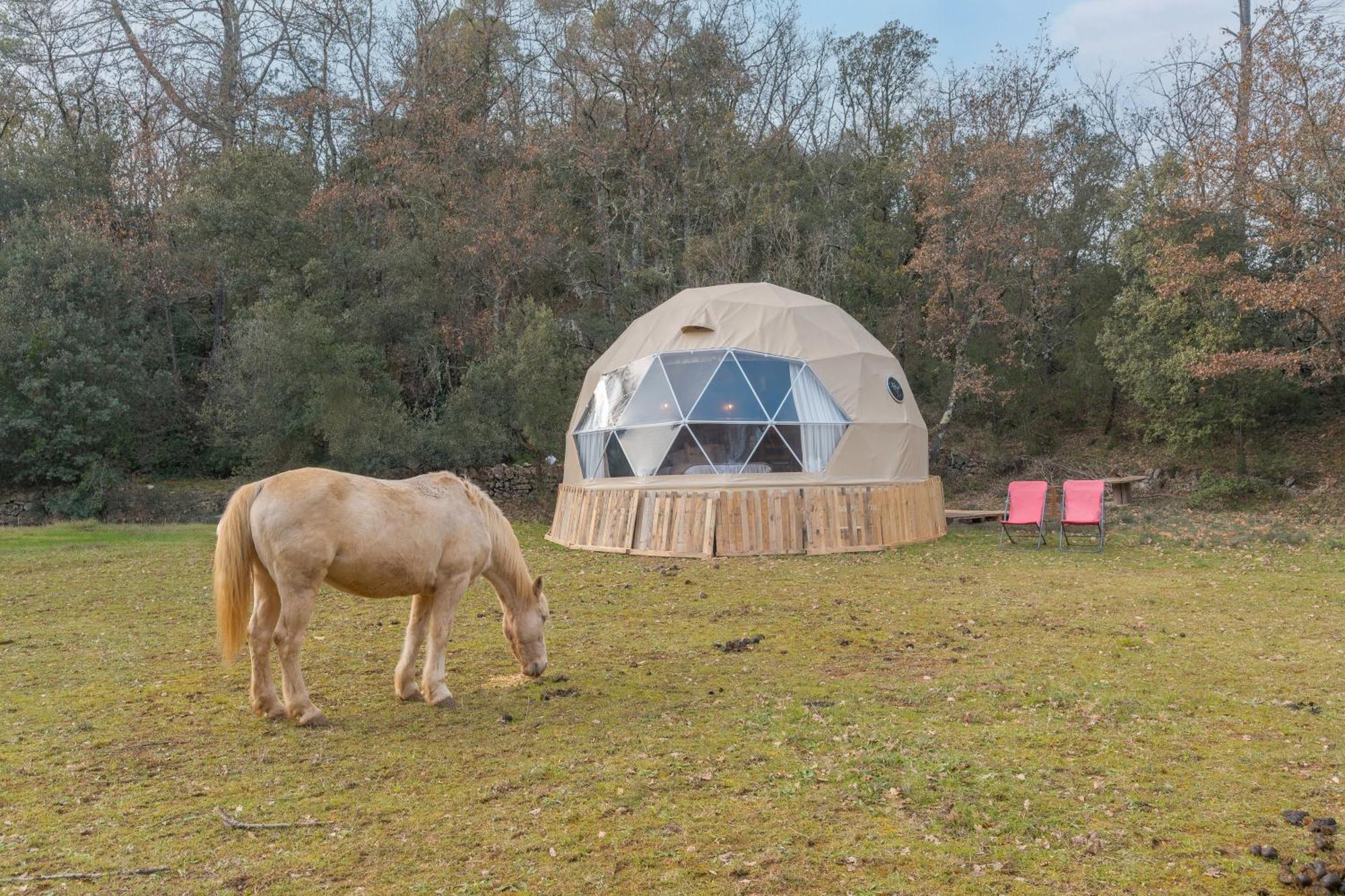 La Cabane Aux Chevaux Varages Exteriér fotografie