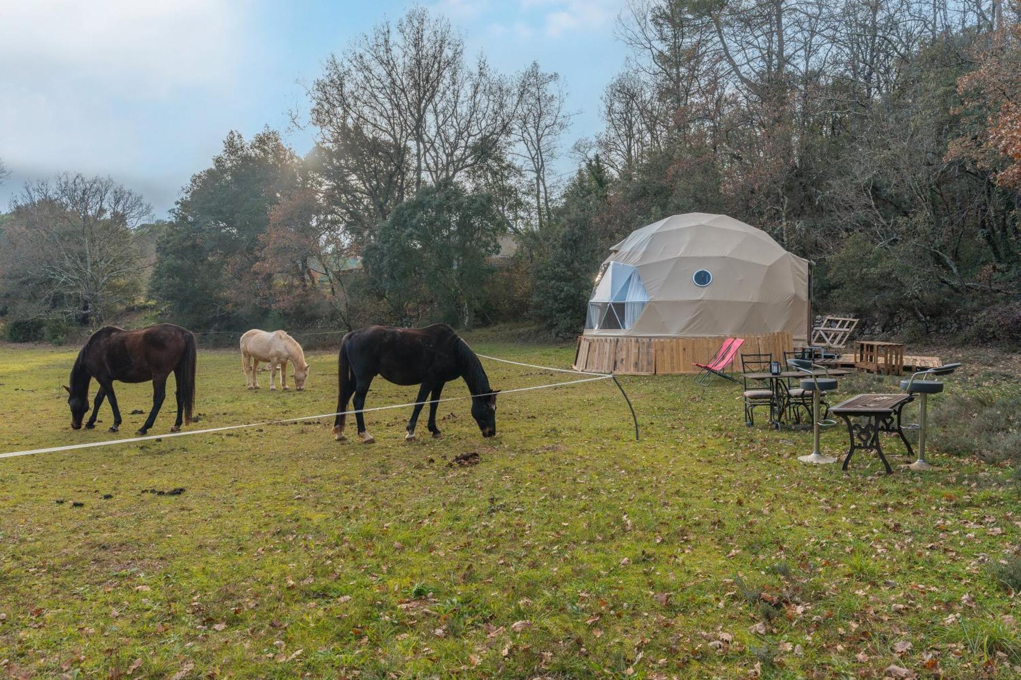 La Cabane Aux Chevaux Varages Exteriér fotografie